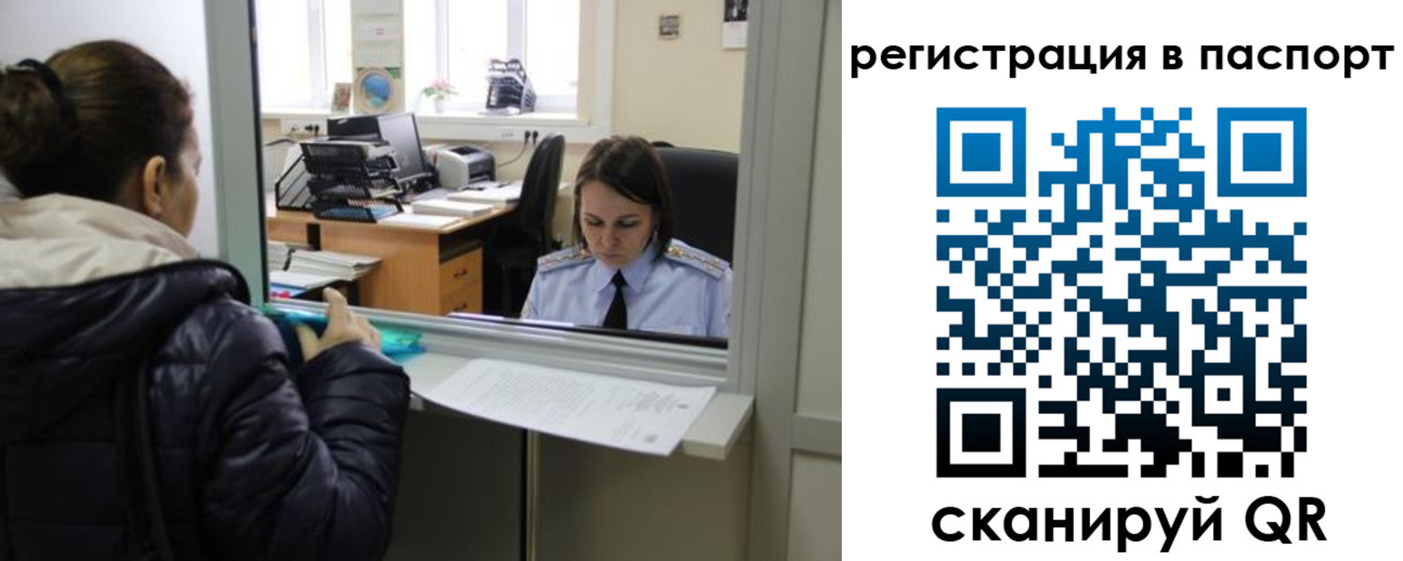 временная регистрация поиск в Сольцах